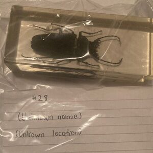 Beetlejuice- unknown name or location